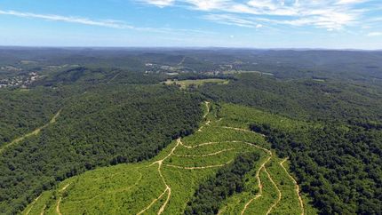 Property in Webster County, West Virginia