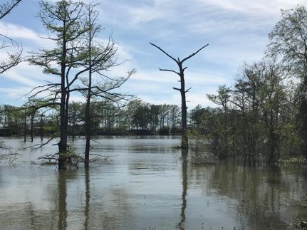 Property in Holmes County, Mississippi