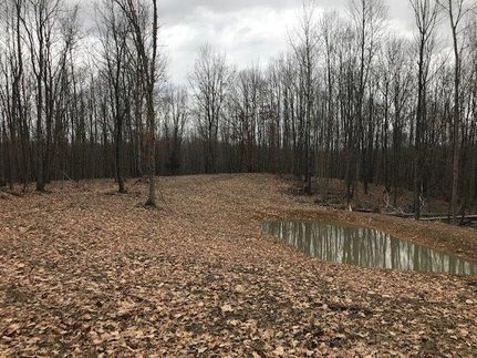 Property in Adams County, Ohio