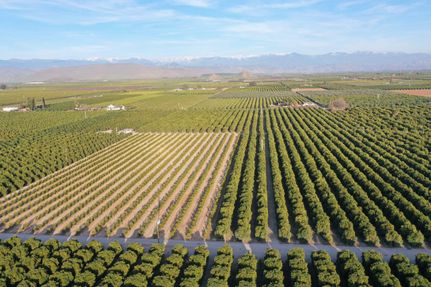 Property in Tulare County, California