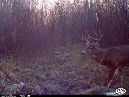 Property in Marinette County, Wisconsin