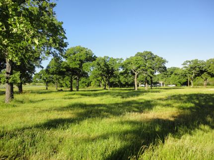 Property in Wise County, Texas