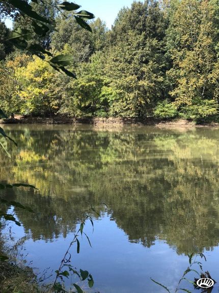 Property in Dunklin County, Missouri