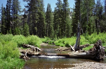 Property in Alpine County, California
