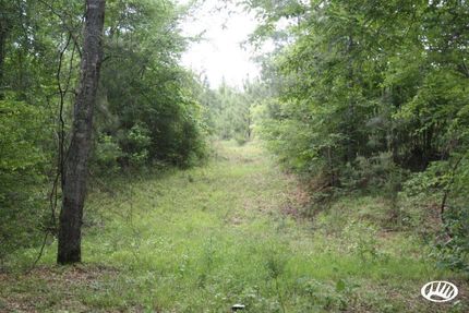 Property in Union Parish, Louisiana
