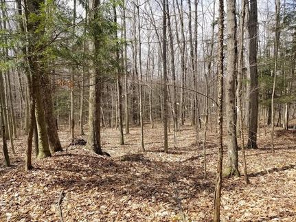 Property in Chemung County, New York