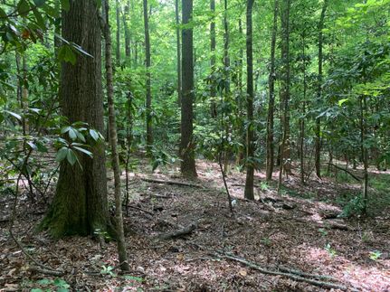 Property in Wilkinson County, Mississippi