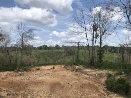 Property in Simpson County, Mississippi
