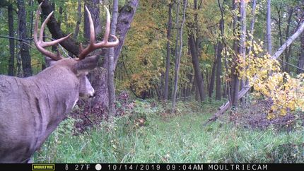 Property in La Crosse County, Wisconsin