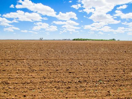 Property in Lamb County, Texas