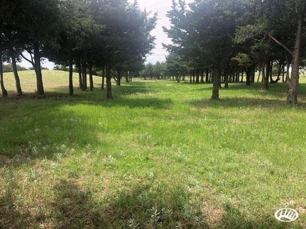 Property in Ellis County, Oklahoma