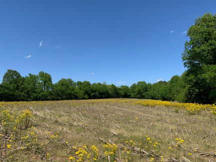 Property in Hardeman County, Tennessee