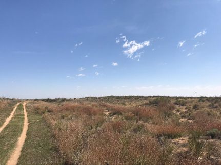 Property in Morton County, Kansas