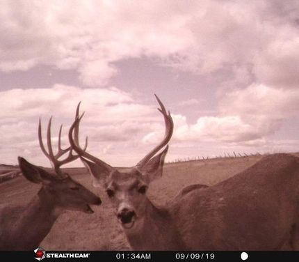 Property in Garfield County, Washington