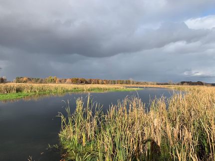 Property in Saint Joseph County, Michigan