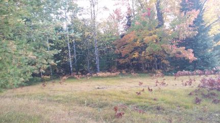 Property in Mackinac County, Michigan