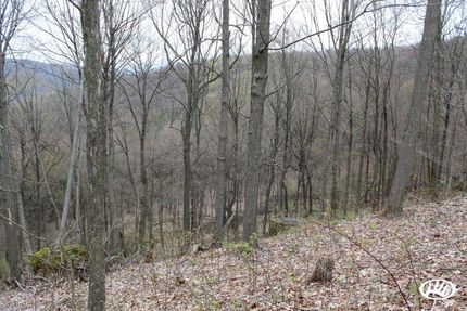 Property in Blair County, Pennsylvania