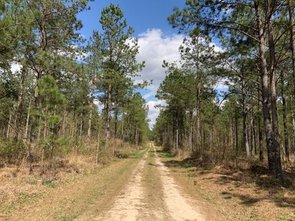 Property in Southampton County, Virginia