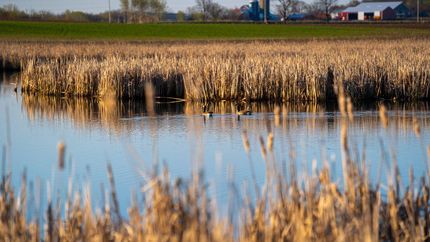 Property in Fond du Lac County, Wisconsin