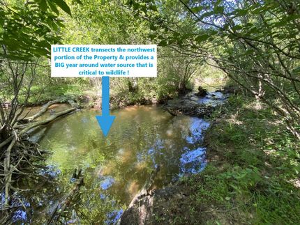 Property in Marion County, Alabama