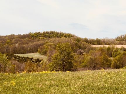 Property in Vernon County, Wisconsin