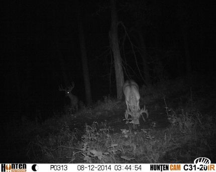 Property in Greene County, Indiana