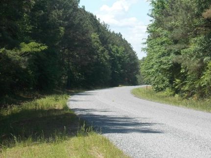 Property in Leake County, Mississippi
