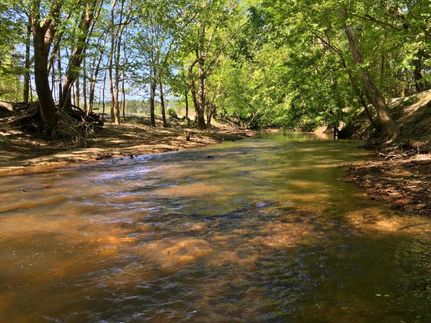 Property in Choctaw County, Alabama