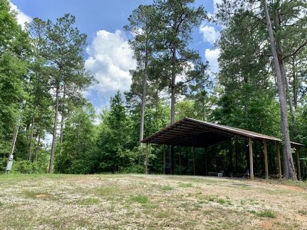 Property in Clarke County, Alabama