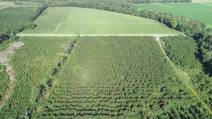 Property in Pitt County, North Carolina