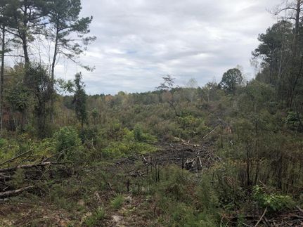 Property in Perry County, Alabama