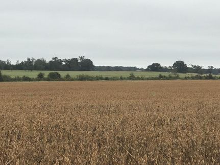 Property in Chickasaw County, Mississippi