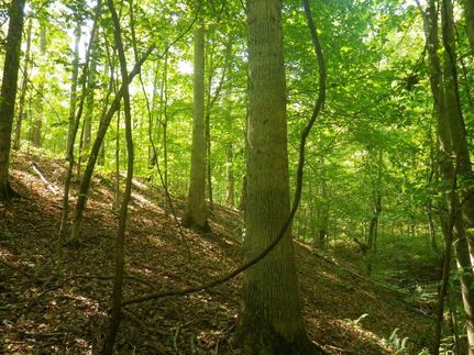 Property in Metcalfe County, Kentucky