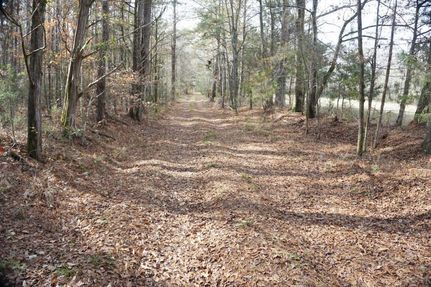 Property in Wilcox County, Alabama