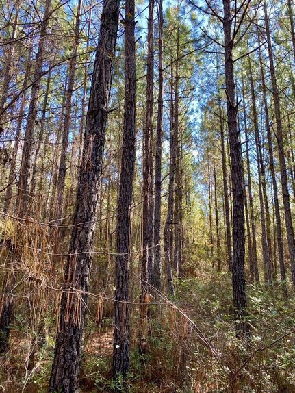 Property in Toombs County, Georgia