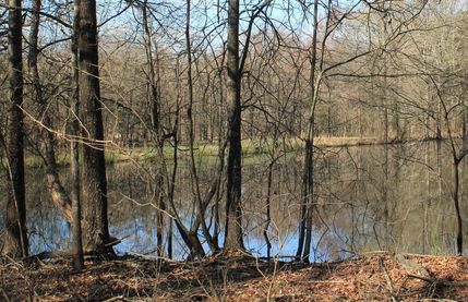 Property in West Carroll Parish, Louisiana