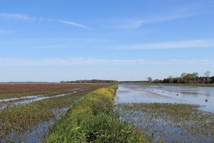 Property in Jefferson Davis Parish, Louisiana