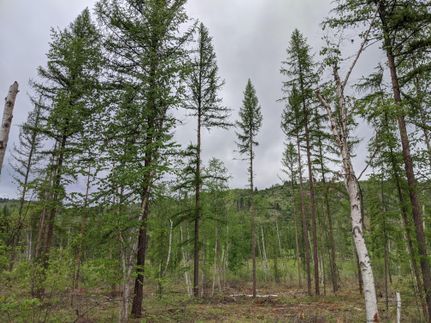 Property in Stevens County, Washington