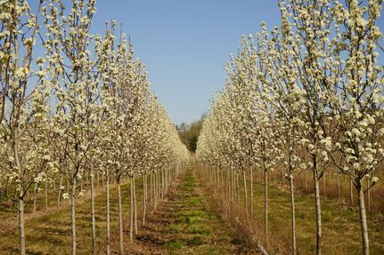 Property in Washington County, Oregon