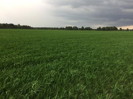 Property in Monroe County, Arkansas