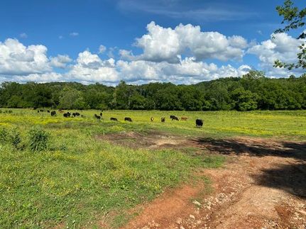 Property in Marion County, Tennessee