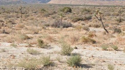 Property in Los Angeles County, California