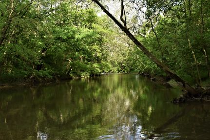 Property in Cass County, Indiana