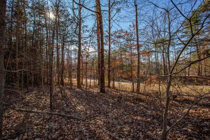 Property in Goochland County, Virginia