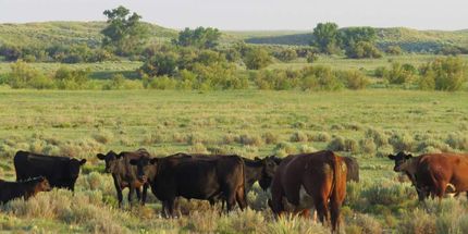 Property in Baca County, Colorado