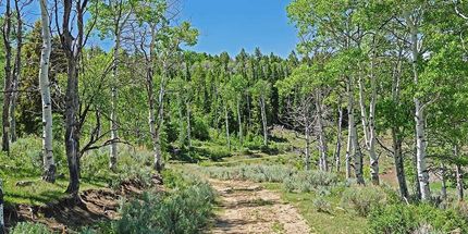 Property in Carbon County, Utah