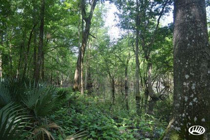 Property in Concordia Parish, Louisiana