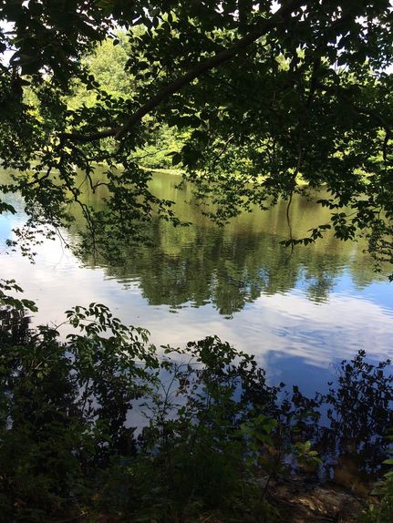 Property in Nottoway County, Virginia