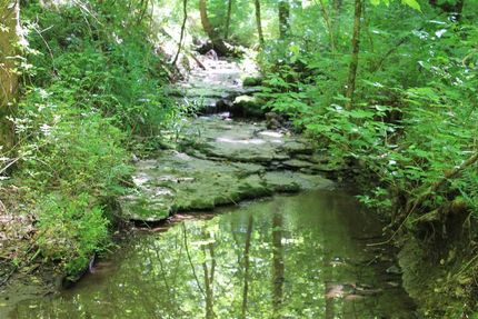 Property in Jackson County, Tennessee