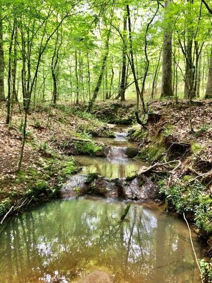 Property in Putnam County, Georgia